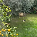 Angelina Homes I Casa Ug I 5 Minuti A Piedi Dal Mare I Giardino I Parcheggio Privato